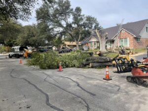 A tree removal site with cut logs, branches, a wood chipper, and a mini-skid steer by Luna's Tree Service in San Antonio, TX.