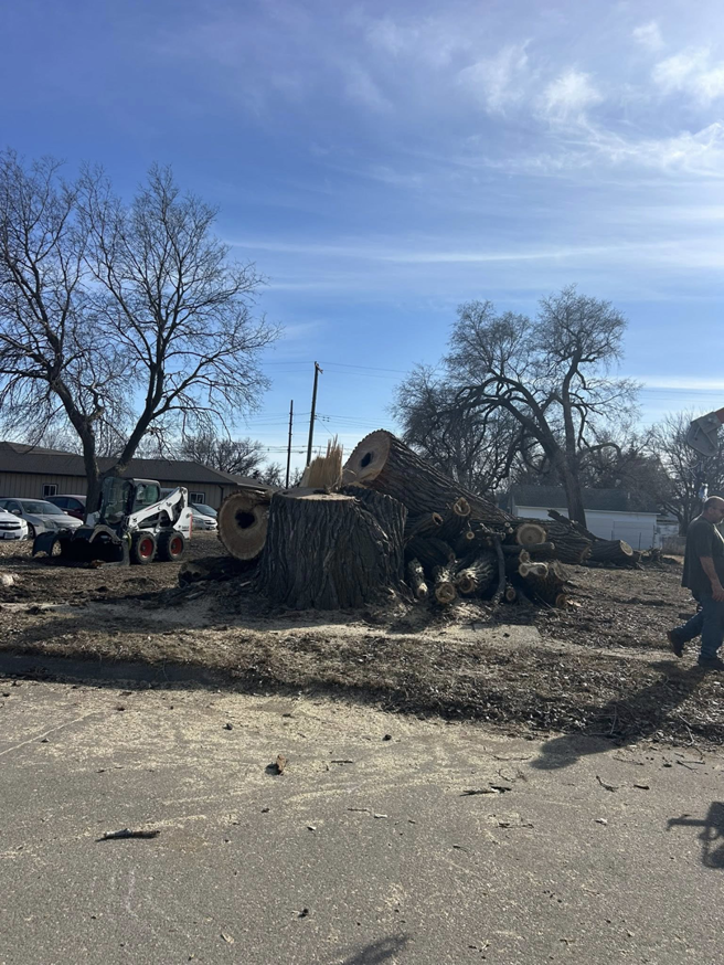 A tree removal site with a large stump, cut logs, and a skid-steer loader by Kahlo's Tree Service in Stanton, NE.