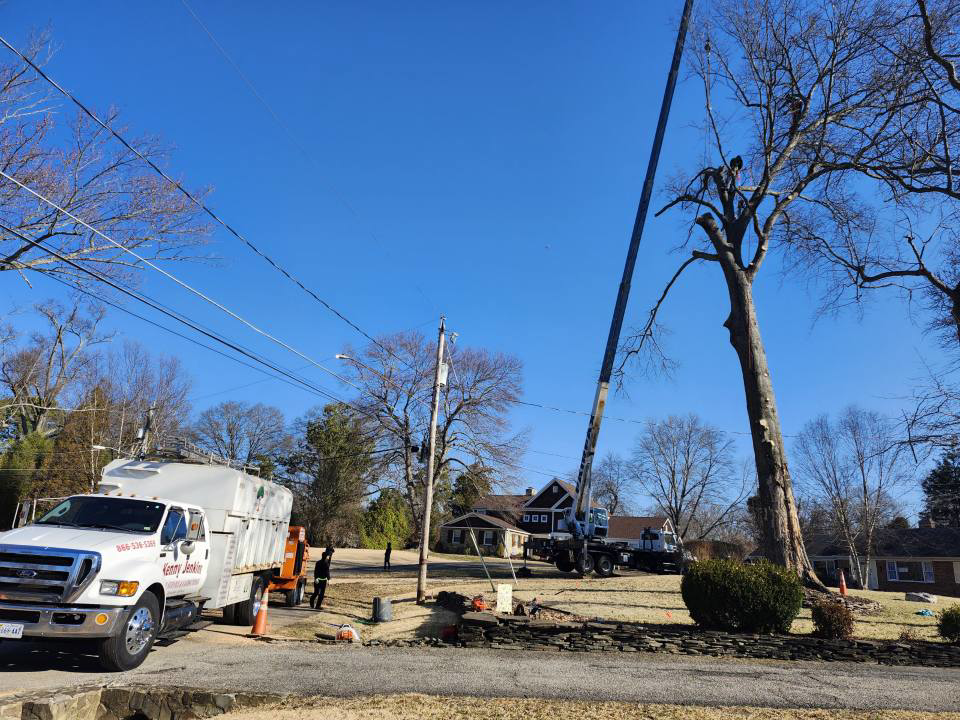 A Kenny Jenkins Tree Service & Landscaping, LLC truck and crane at a tree removal site with workers in Rapidan, VA.