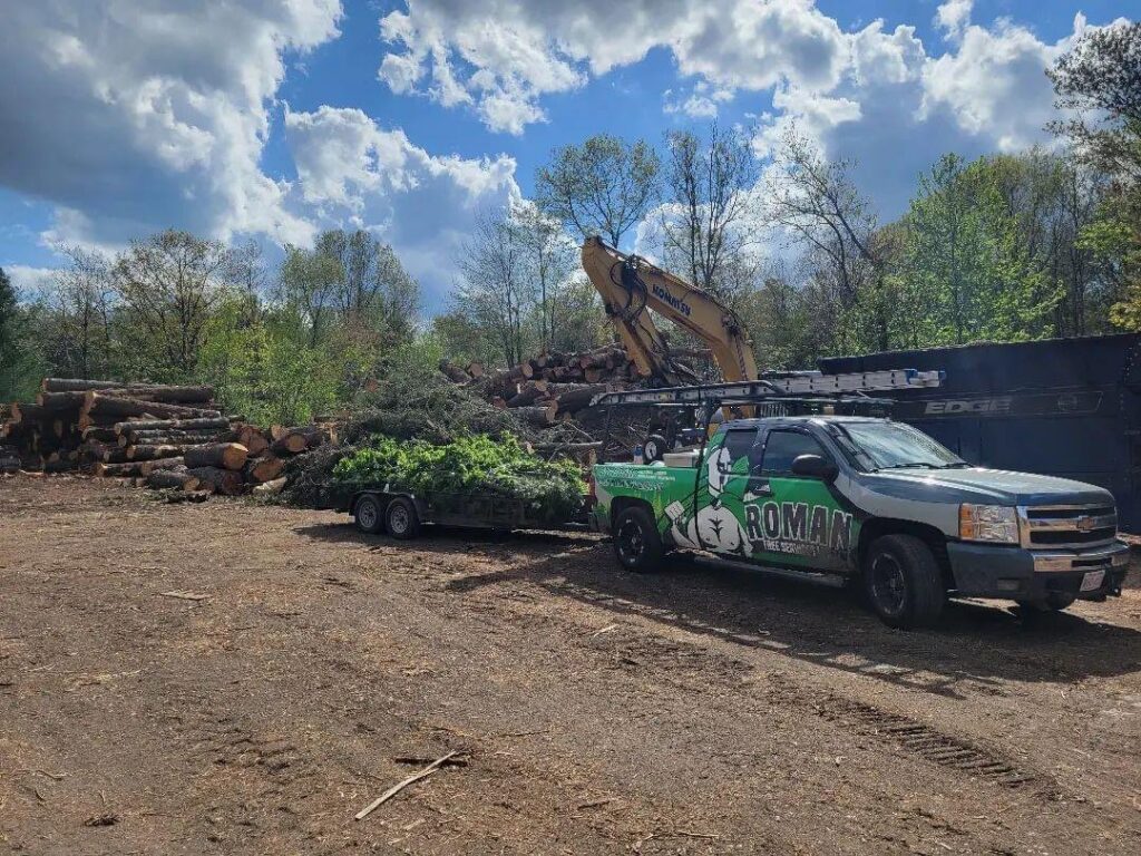 A Roman Tree Services LLC truck and trailer at a tree removal site with logs and an excavator in Cambridge, MA.