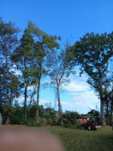 A Tree Down tree removal site with a small tractor and cleared brush in Lafayette, LA, showing completed work.