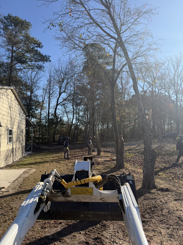 A tree removal site with cut trees and a skid steer, showing work by GVM Tree Service in Raleigh, NC.