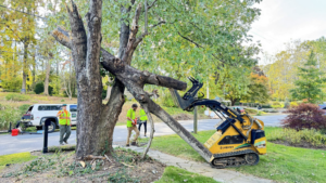 Tree service crew using a chainsaw and skid steer to remove a large tree limb in Youngstown, OH, by A-Town Cut Down Tree Services LLC.