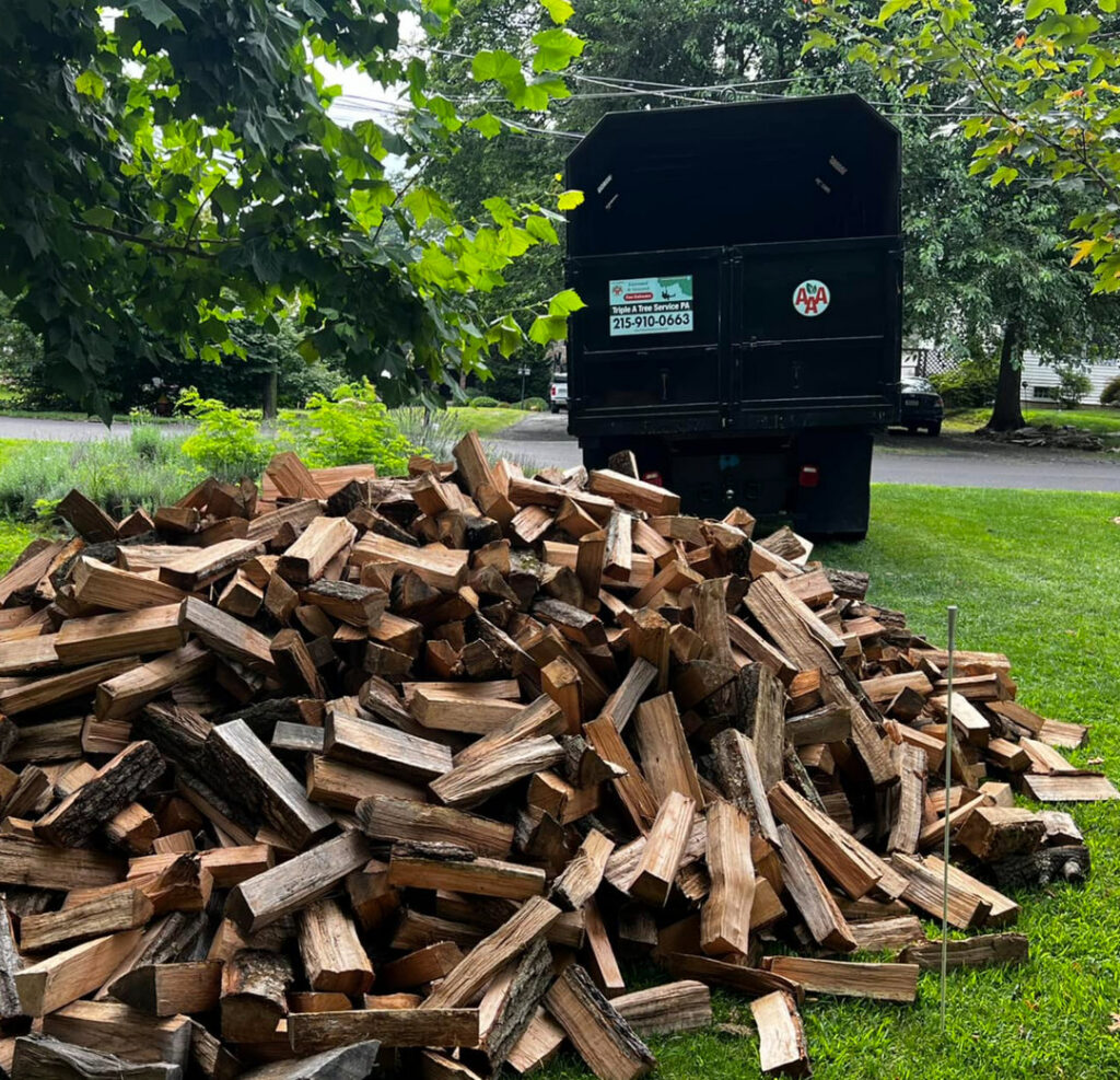 Triple A Tree Service PA workers using a skid steer to safely remove a large tree in Philadelphia, PA.