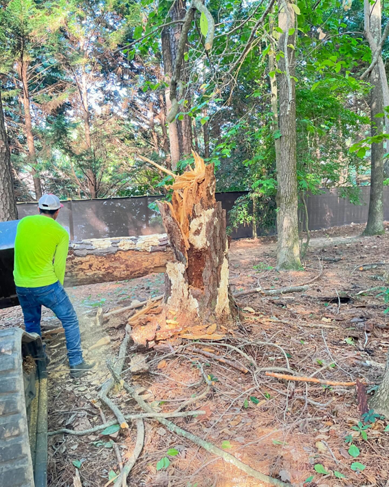 A tree service worker operating equipment next to a broken tree stump and fallen log for Ricardo's Tree Service in Woodstock, GA.