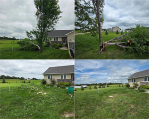 Before and after photos of a tree removal and stump grinding service by Alpha Outdoor Services LLC in Kearney, NE.
