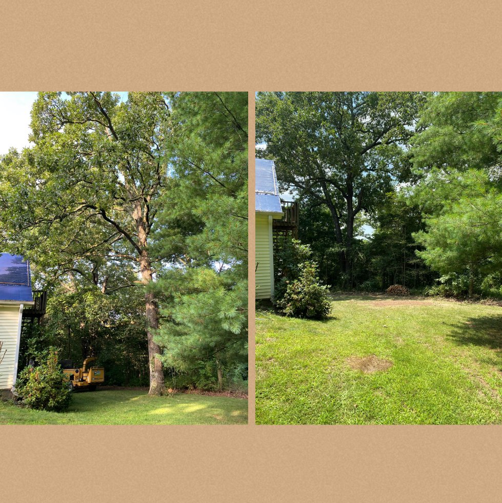 Before and after of tree removal and stump grinding services by ED's Landscaping in Mechanicsville, VA.
