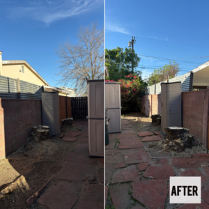 Before and after photo showing tree removal and stump grinding services by Waste Unlimited Brush Clearance & Tree Service LLC in Los Angeles, CA.