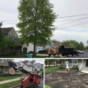 Tree removal with a chipper, stump removal, and ground restoration by Jeovani's Tree Service in Warrenton, VA.