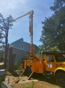 A bucket truck on site with tree stumps and evidence of tree removal by Clifford & Sons Tree Service in Mobile, AL