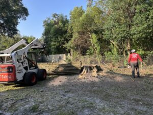 A worker and Bobcat skid-steer loader performing tree removal and stump grinding for Eagerton Tree Service, LLC in Ponte Vedra Beach, FL.