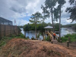 A lakefront property in Jacksonville, FL, after tree removal and stump grinding services by TreeWorld, showing cleared land.