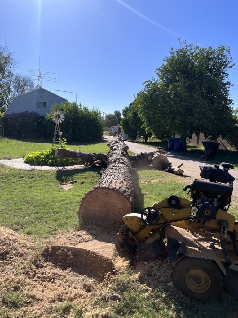 A large tree trunk on the ground with a stump grinder after removal by Tempe Tree Service Pros in Tempe, AZ