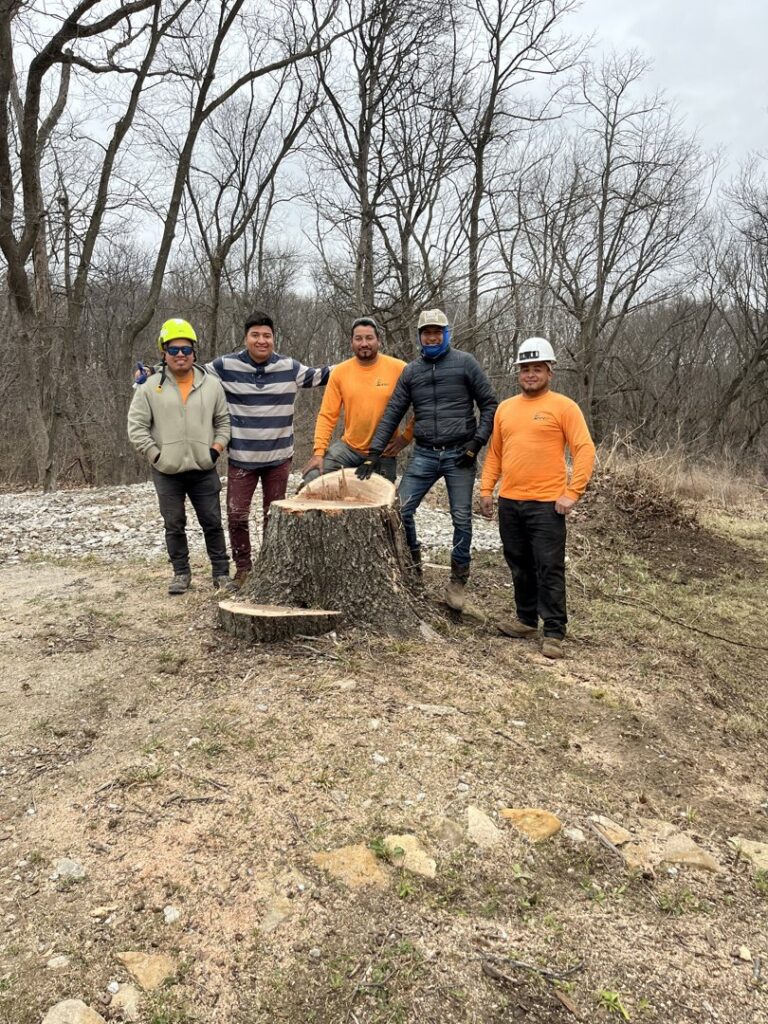 A tree removal team standing around a large tree stump by Perez Landscape and Tree Services in Kansas City, MO.