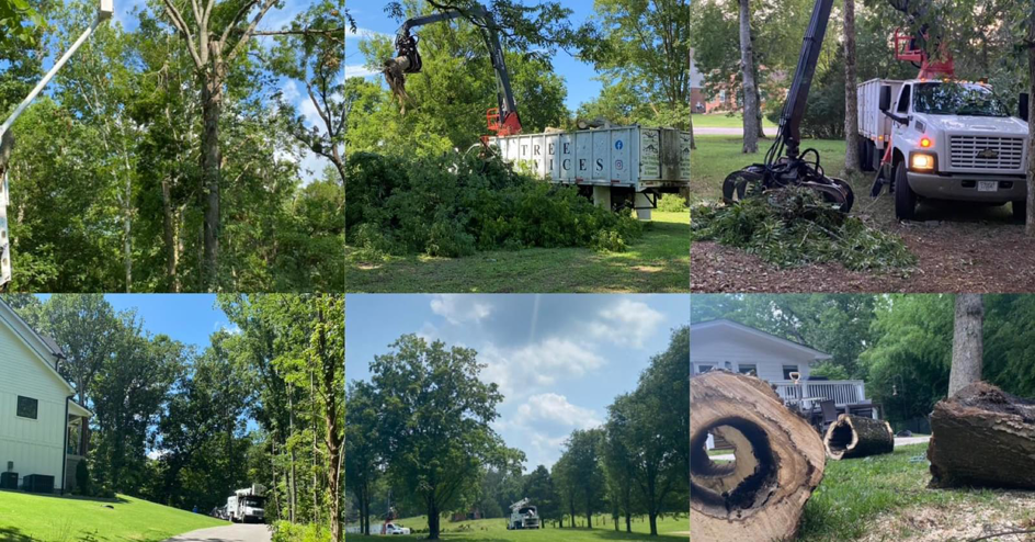 A collage showing tree removal, trimming, debris cleanup with grapple trucks, and cut logs by U & A Tolentino Bros Tree Services LLC in Nashville, TN.
