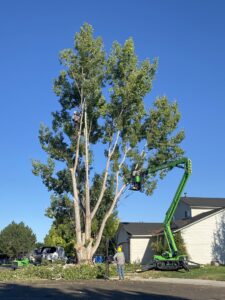 A tree service crew performing tree removal and trimming with a bucket lift and ground support for Double J Tree Service, LLC in Meridian, ID.