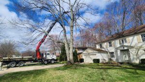 A tree removal truck with a crane and logs on its bed at a residential property by Ecotree Services LLC in Lorain, OH.