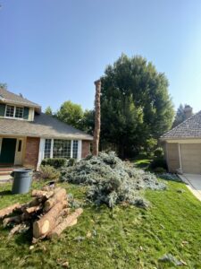 A tall tree trunk remaining after tree removal, with a large pile of branches on the ground by Double J Tree Service, LLC in Meridian, ID.