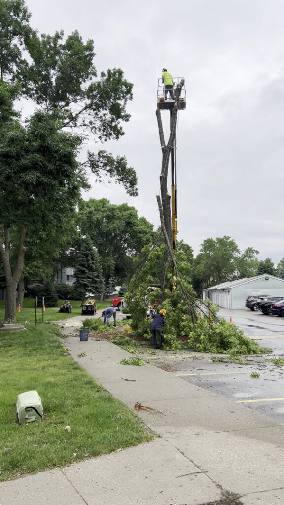 Tree service workers performing tree removal with a bucket truck and clearing debris by JN Services LLC in Des Moines, IA.