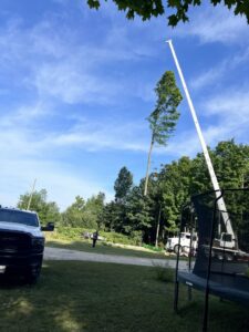 A large tree being carefully removed with a crane by Krisch Tree Removal in Grand Rapids, MI.