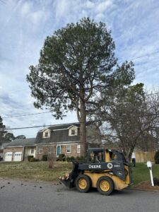 Tree removal operation with a skid steer on site by Broccolo Tree Care in Rochester, NY.