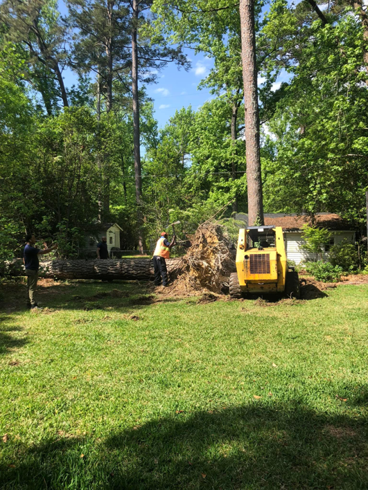 Workers and a skid steer removing a large fallen tree and its roots in a yard by Brown's Tree Service & Demolition in Columbia, SC.