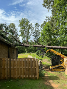 Workers use a skid steer loader with a grapple to remove a fallen tree near a house and fence for Ellison's Tree Service in Northport, AL.