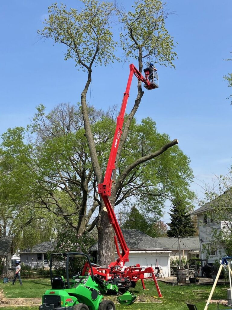 Professional tree removal in progress using a spider lift and an Avant loader by SKV Tree Service in Morris, IL.