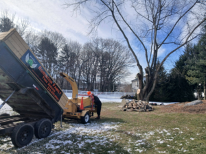 Tree removal in progress with a wood chipper and a dump trailer on site by RJ Robinson Family Tree Service LLC in York, PA