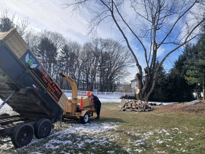 Tree removal in progress with a wood chipper and a dump trailer on site by RJ Robinson Family Tree Service LLC in York, PA