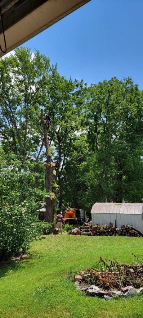 Tree service crew working on tree removal with a wood chipper in the background by G.O.'s Tree Service in Pittsburgh, PA