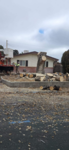A worker in a bucket truck performing tree removal with logs on the ground by R and J Tree Service in Farmington, NM.