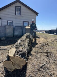A tree service worker with a chainsaw standing next to a large cut tree log after removal by Cutting Edge Tree Service in Racine, WI.