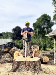 A Patriot Tree Service worker with a chainsaw standing on a large tree stump after removal in Sioux Falls, SD