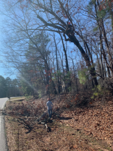 A tree service worker in a tree cutting branches, with debris on the ground, by Smiles Tree Service in Atlanta, GA.
