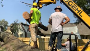 Tree service workers with a chainsaw and telehandler removing a large fallen tree trunk for Tri-County Tree And Restoration in Jackson, MS.