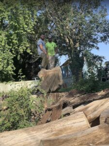 Tree service workers standing on a large tree trunk amidst cut logs after a tree removal job by Griffis Tree and Lawn in Council Bluffs, IA.