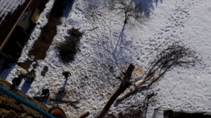 Tree removal workers clearing cut branches from a snowy backyard at Evening and Weekend Tree Service in Waukesha, WI