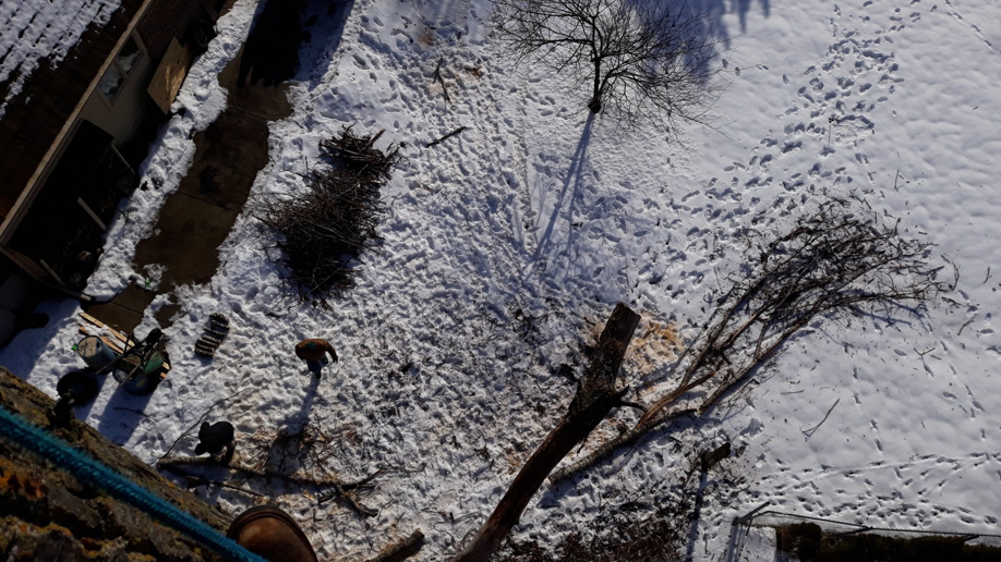Tree removal workers clearing cut branches from a snowy backyard at Evening and Weekend Tree Service in Waukesha, WI