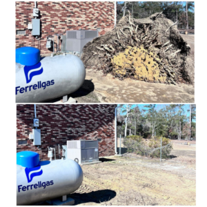 Before and after of a large tree root ball removal near a residential home by Robert & Sons Tree Service in Augusta, GA