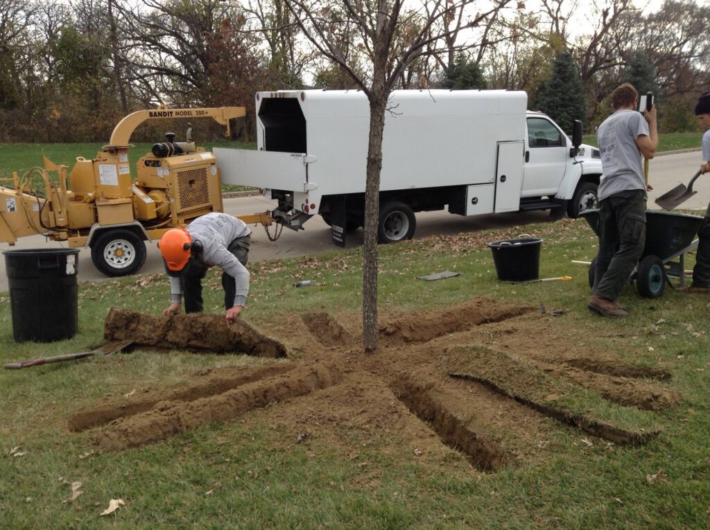 Tree service workers excavating around tree roots with a wood chipper nearby for Arborscape Tree Care in Ankeny, IA.