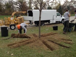 Tree service workers excavating around tree roots with a wood chipper nearby for Arborscape Tree Care in Ankeny, IA.