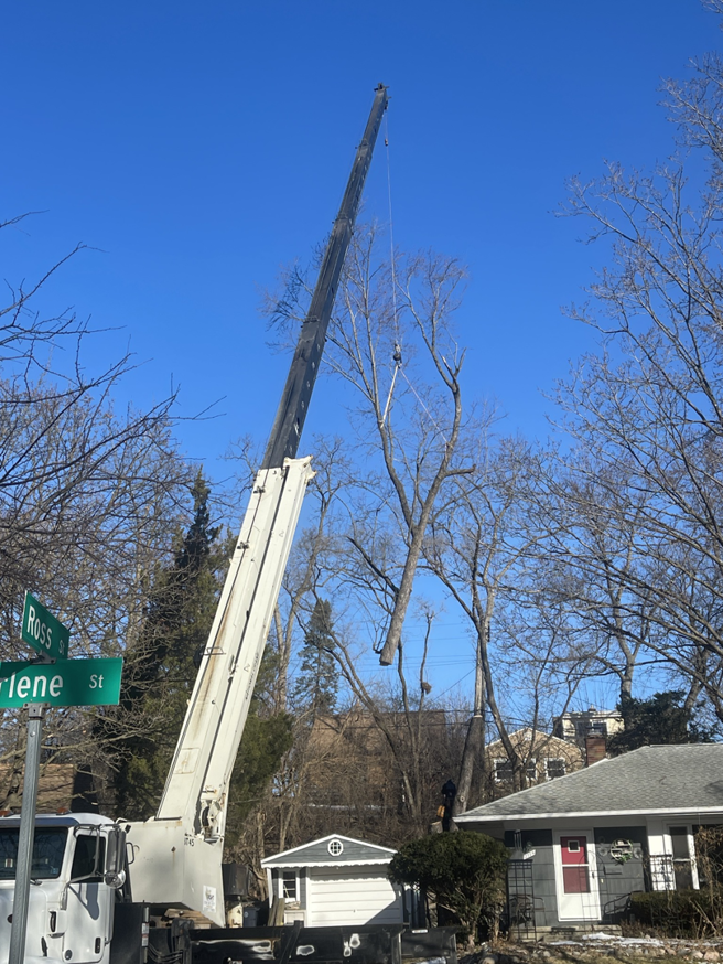 A tree section being lifted by a crane in a residential area by J's Tree Trimming and Removal, Inc. in Ann Arbor, MI.