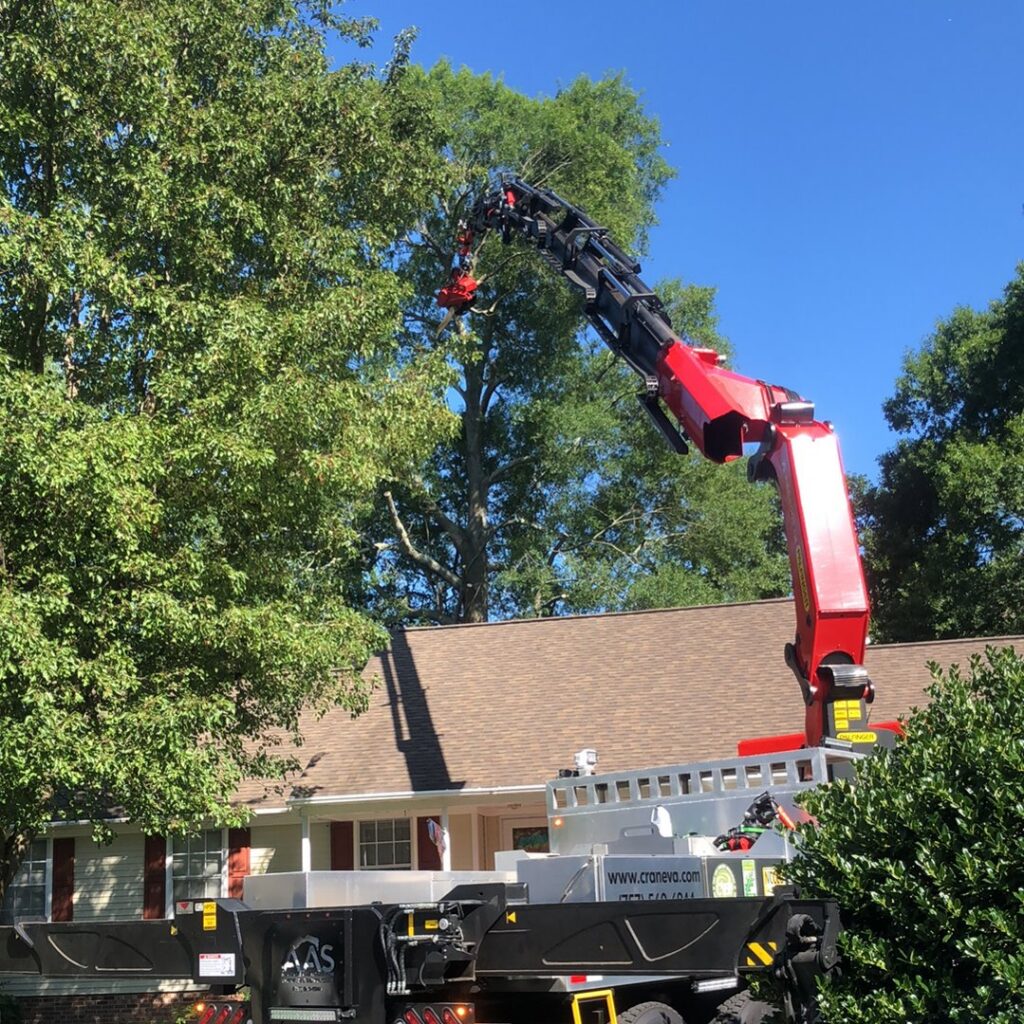 A crane with a grapple attachment carefully removing a large section of a tree, demonstrating tree removal by J&J's Tree & Lawn in Portsmouth, VA.