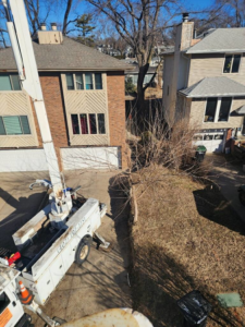 A tree service bucket truck parked near a residential home by Kimball Tree Service in Bellevue, NE