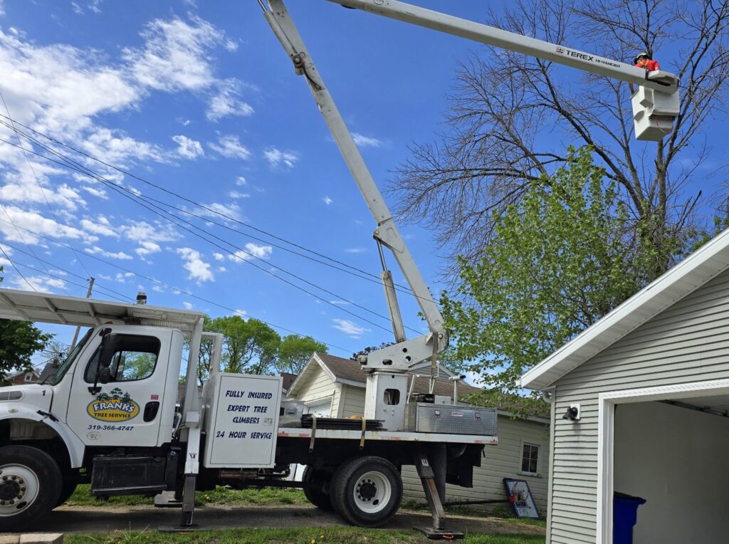 A Frank's Tree Service bucket truck with a worker pruning a tree in Davenport, IA.