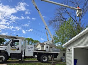A Frank's Tree Service bucket truck with a worker pruning a tree in Davenport, IA.
