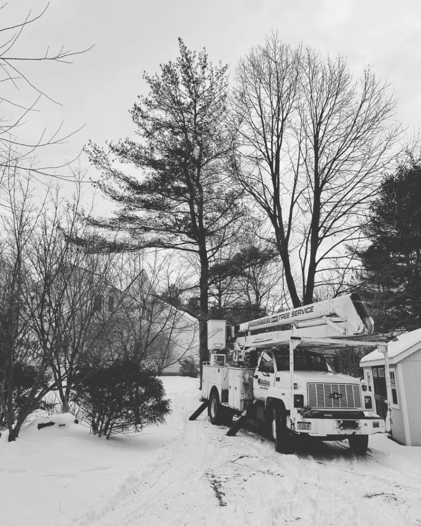A tree service bucket truck parked in a snowy landscape, ready for work by Haslam Tree Service Inc. in Feura Bush, NY.