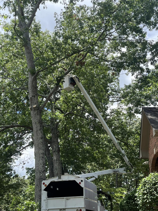 A tree service bucket truck actively working on a large tree, providing expert tree services from Northeast Alabama Tree Experts LLC in Anniston, AL.
