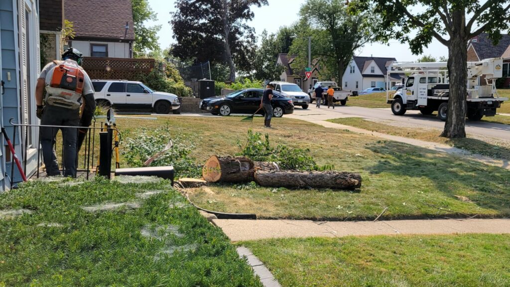 A Frank's Tree Service worker using a leaf blower for cleanup after tree work in Davenport, IA.